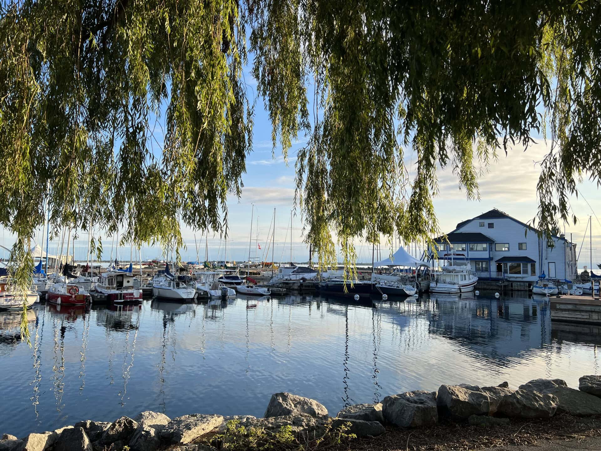 Peacefull photo of the Kingston marina, framed by willow tree leaves